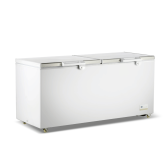 Thermaster BD600F chest freezer