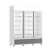 Thermaster LG-1203P upright fridge