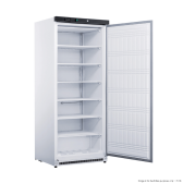 FED-X XF600SS-NSW2136 upright freezer
