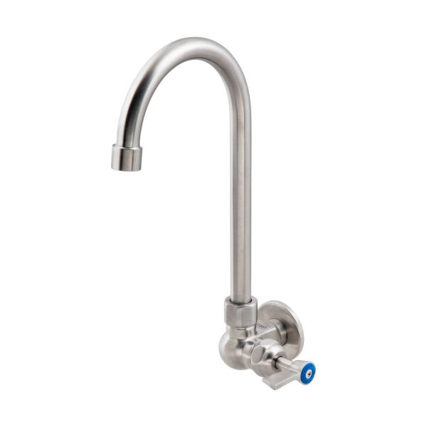 3Monkeez Stainless Steel Single Wall-Mount Body with Single Control and 12" Gooseneck Swivel Spout - T-3MSWG12